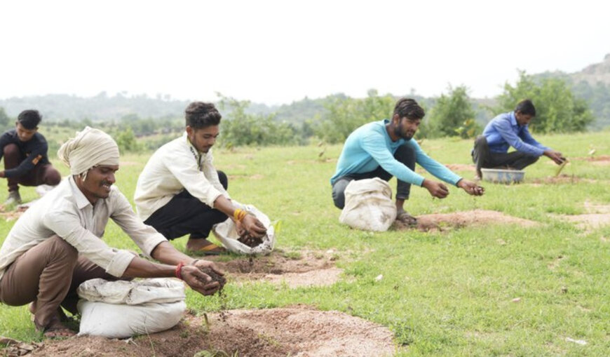 Farmlandgrab reports: Microsoft signs 30-year carbon removal afforestation deal in India